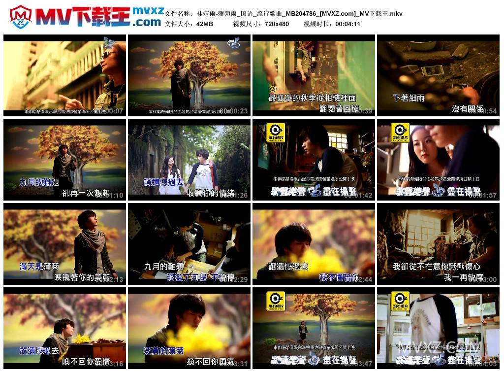 林靖雨-蒲菊雨_国语_流行歌曲_MB204786